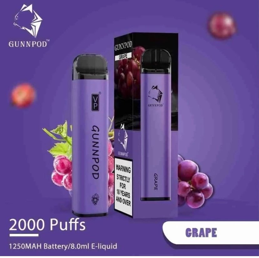 Gunnpod 2000 - Grape - 10 pack - Image 2