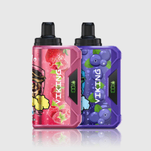 VapSolo VIKING 12000 Puffs – Pack 2