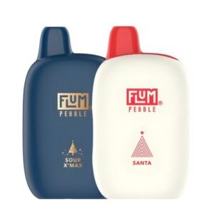 Flum Pebble 6000 Disposable Vape